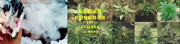 индика Елабуга