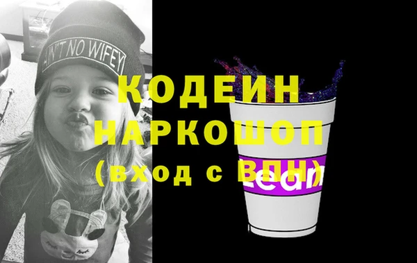 индика Елабуга
