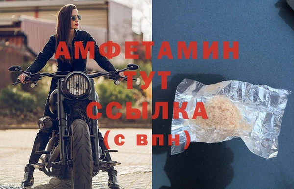 индика Елабуга