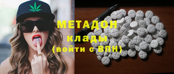 индика Елабуга