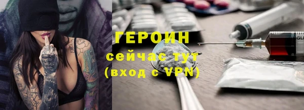 индика Елабуга