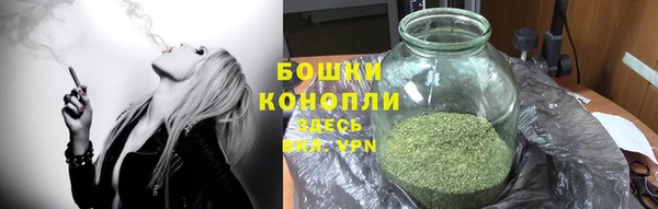 индика Елабуга