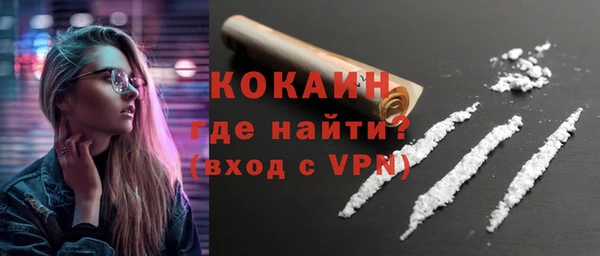 индика Елабуга