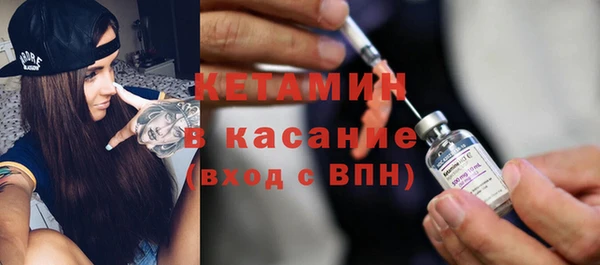 индика Елабуга