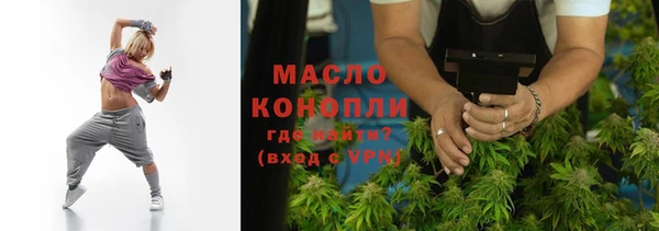 индика Елабуга