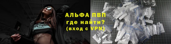 индика Елабуга