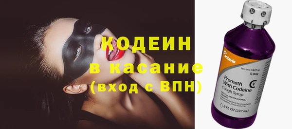 индика Елабуга