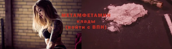 индика Елабуга