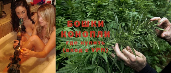 индика Елабуга