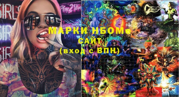индика Елабуга