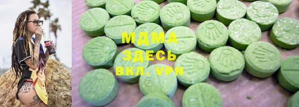 индика Елабуга