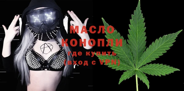 индика Елабуга