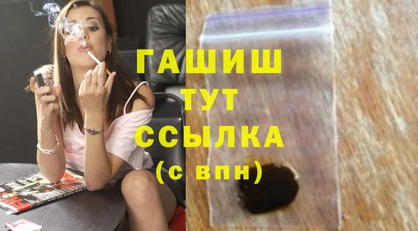 индика Елабуга