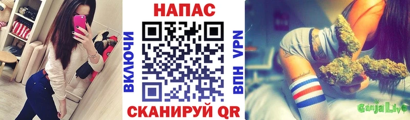 мега tor Тайга МАРИХУАНА OG Kush